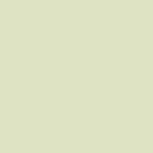 Little Greene - Acorn™ no. 87